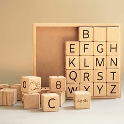 Wooden Toys – Educational Blocks Set