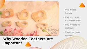 Read more about the article Why Wooden Teethers are Important ?